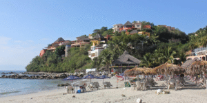 PRI Nayarit fortalece la participación juvenil en acciones de protección ambiental